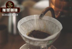 The Queen of Coffee--Yerga Shefi Coffee Flavor Features Yerga Shefi Coffee Growing Environment
