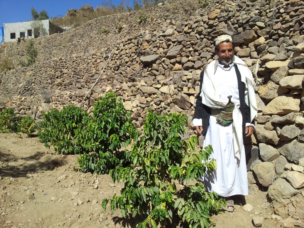 The story of Yemeni mocha coffee full of game _ Why did the former coffee country become a marginal producer?