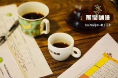 Yunnan coffee planting regional characteristics of Yunnan Huaguoshan coffee good to drink? Tin card quality?