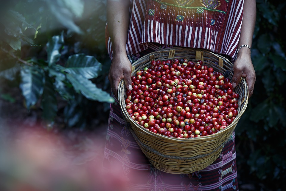 Talking about the special treatment method | the story or taste is important? Is the special treatment coffee good?