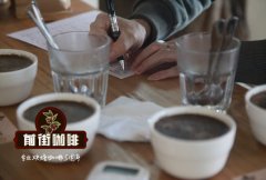 What is Yunnan Baoshan small grain coffee? What are the main varieties of small grain coffee in Yunnan?