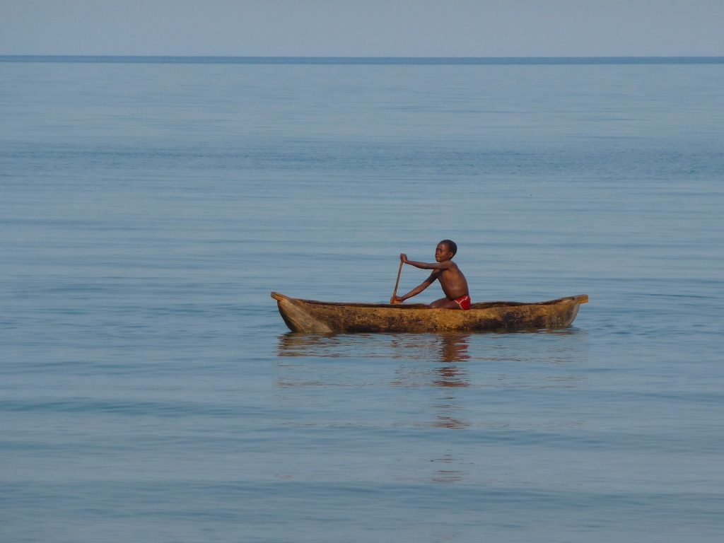 A brief History of Malawian Coffee by Lake Malawi _ what coffee producing areas are there in Malawi?