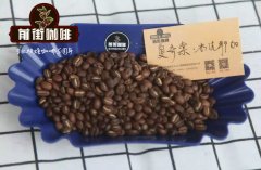 Yega Sheffield Hoffee Cooperative Coffee Bean Story what are the flavor characteristics of Yega Chuefei coffee beans