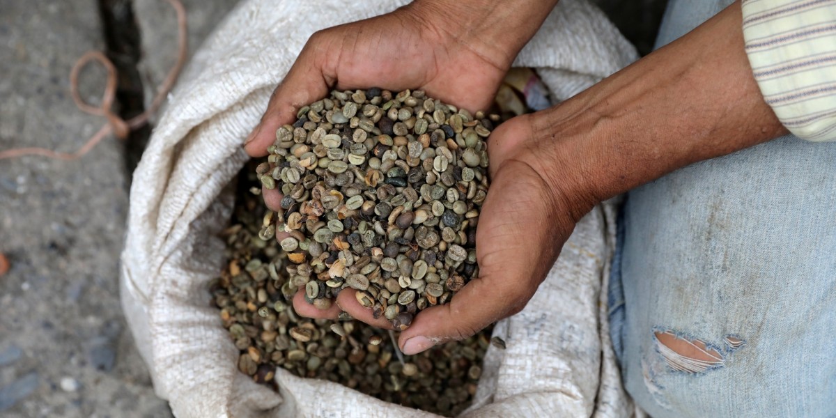 Growing coffee will starve to death? The crisis of imbalance between production and marketing between the Tropic of Cancer and the Tropic of Cancer