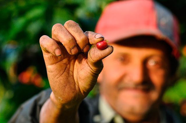 Coffee trade in addition to fair trade, partners, fair buying and selling