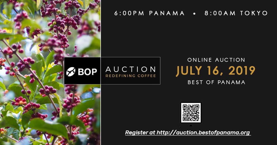 2019 Best Panamanian BOP Coffee auction results announced! Characteristics and stories of Panamanian coffee beans