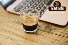 Description of St. Helena Coffee Coffee and introduction of Green Tip bourbon