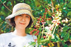 Yunnan Coffee planting strict Control of quality self-knowledge of bitterness _ Representative of High-quality Yunnan Coffee