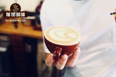 Exploration of Yunnan Coffee Manor Xinzhai Coffee Bean