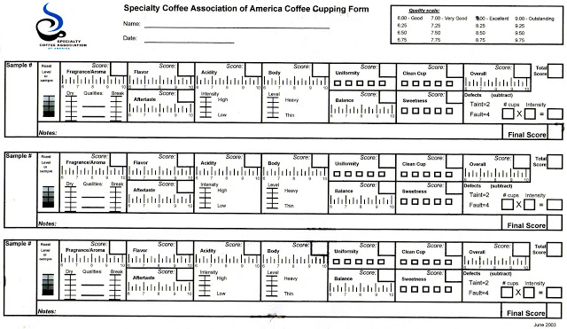 Interpretation of 2023 latest SCA cup test table with Chinese and English versions| How to evaluate coffee quality?