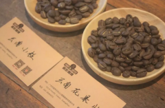 What is the difference between Yunnan iron pickup and Katim's flavor? what are the varieties of Yunnan coffee beans?