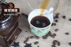 Introduction of World Instant Coffee Brand list | Global instant coffee brand ranking