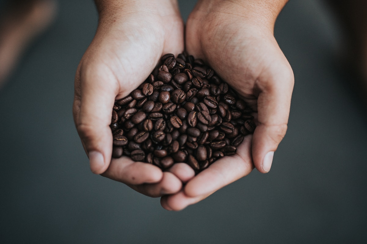 Do you really know what coffee beans are 