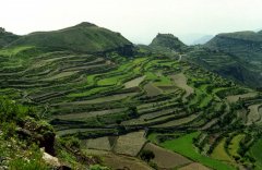 Have you ever heard of fancy mocha and Yemeni mocha? have you ever heard of mocha as a variety of coffee?