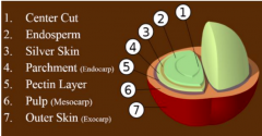 Coffee knowledge | grading of defective beans in SCAA boutique coffee