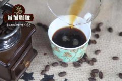A brief introduction to the Coffee Bean Red Cherry Project Yejia Xuefei Red Cherry hand Coffee sharing