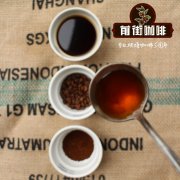 Which coffee bean is suitable for the lemon flavor of Panamanian red standard rose flower and fruit?