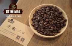 What can I recommend for single coffee? whisky barrel fermented coffee bean wine is intoxicating.