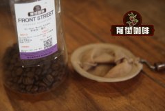 High quality coffee beans recommend Costa Rican Stonehenge F1 complex and rich fruit flavor