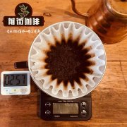 A brief Analysis of the Origin and Flavor characteristics of Robosta Coffee Bean