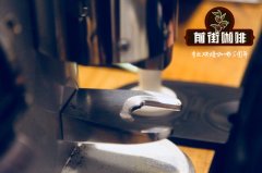 How to choose the advantages and disadvantages of the flat knife, cone knife and ghost teeth of the bean grinder?