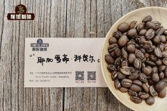 Yejia Fischer coffee bean washing method for Kochel flavor coffee bean washing