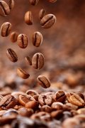 2020 events that Ethiopian coffee beans need to pay attention to the harvest time of coffee beans