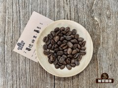 Colombian Coffee Bean background Coffee Bean producing area Flavor Hope Manor Award record