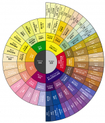 How to taste Coffee Flavor understand Coffee Taste Wheel to improve Coffee Flavor sensitivity