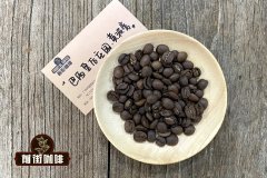 Characteristics of Brazilian coffee beans Brazilian coffee bean grading Queen's Manor Bourbon Coffee Flavor