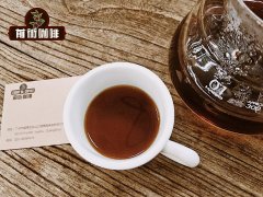 Hirado Tatara Manor Features Tatara Sweet Pool Coffee Bean Coffee Environment and Flavor Features