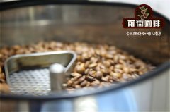 Advantage of volcanic soil Coffee beans in Kenyanieri Coffee Manor Coffee flavor taste