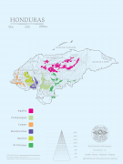 Introduction and grading system of Honduran coffee what are the seven major coffee producing areas in Honduras?