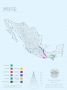 Introduction to Mexican Coffee what are the main producing areas of Mexican coffee? How's the Mexican coffee?