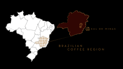 Flavor and introduction of Coffee producing area in Minas and Minas Southeast Mountain Forest region of Southern Brazil