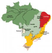 Introduction of coffee producing areas in the state of Sao Paulo, Brazil the flavor characteristics of Sao Paulo coffee