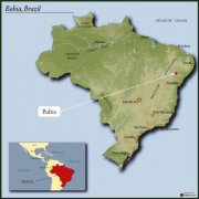Coffee background of Shapada Diamantina region introduced in Bahia Coffee producing area of Brazil
