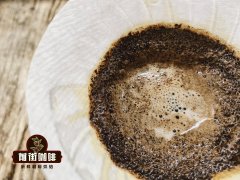 Guatemala Stonehenge Coffee Bean Introduction Stonehenge Coffee Flavor Features