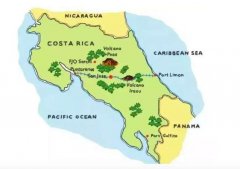 Introduction to the History of Costa Rican Coffee producing area what are the characteristics of Costa Rican coffee beans