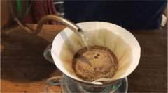 What are the alkaloids in coffee? are alkaloids the source of coffee bitterness? what are alkaloids?