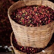 African High altitude Coffee Zambian Coffee Flavor and three usual processing methods