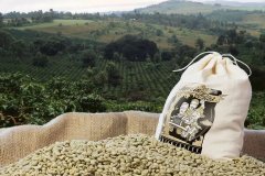 Coffee flavor and main processing methods of East African coffee in Tanzania