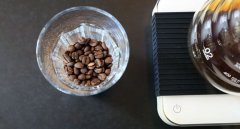 Ratio of freshly ground coffee powder to water Coffee basics: brewing ratio-how much water and coffee to use