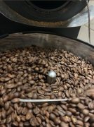 Coffee Degree Roast Degree Coffee Basics How to Roast Coffee Beans Roast Which are Several Types