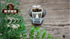 Filter-hanging coffee brewing filter-hanging coffee recommends popular brands Dripo and AGF Blendy
