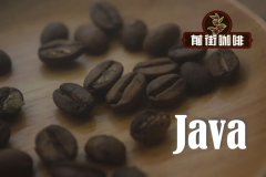 Java coffee history Java coffee characteristics Indonesian Java coffee beans