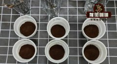 What is the function of coffee cup test? Explain the coffee cup test process in detail. What information can the cup test tell you?