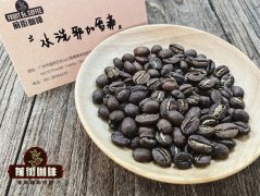 Flavor characteristics of Yega Xuefei Coffee beans by Flavor washing treatment in Yega Xuefei producing area of Ethiopia