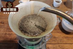 What details should you pay attention to when grinding coffee? What is the grindness of hand-brewed coffee?
