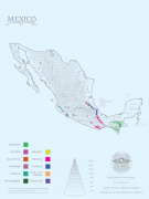 Flavor characteristics of low-caffeine coffee beans grown organically in Mexico